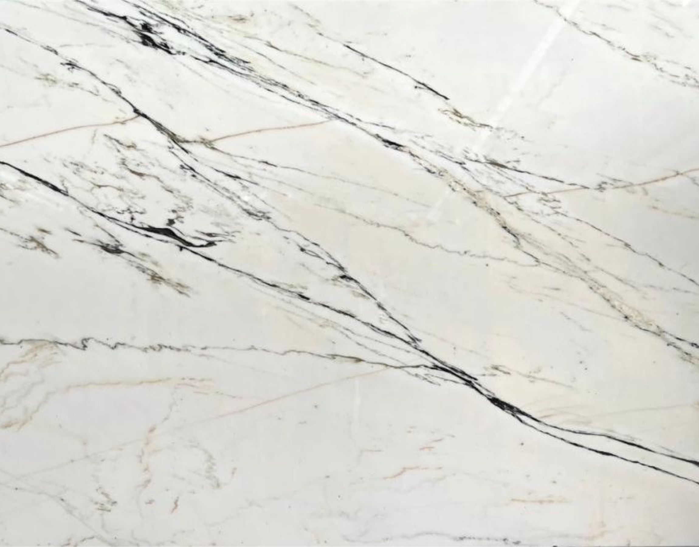 Calacatta Panaozoo Marble